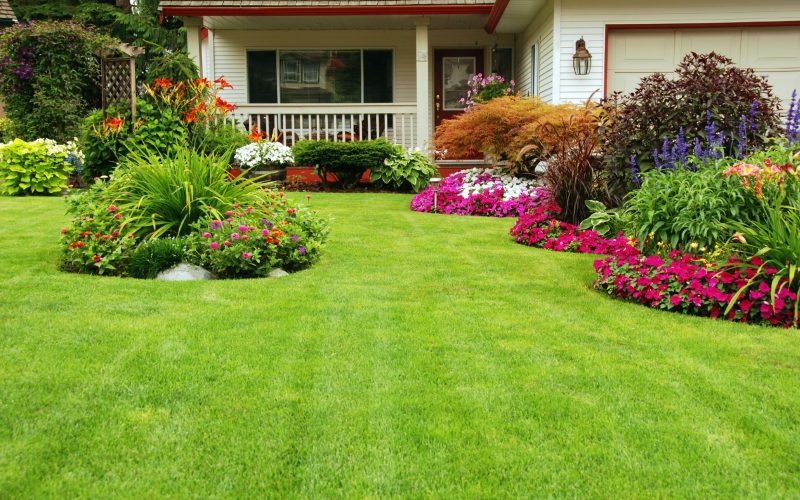 How a Landscaper in Plymouth, MN, Unlocks Your Property’s Potential