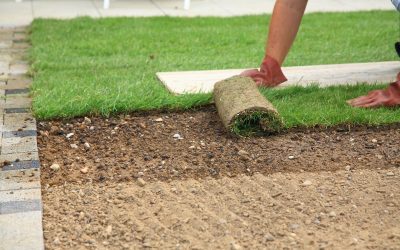 Transform Your Outdoors with Paver Installation St. Petersburg FL