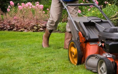 Transform Your Outdoor Space Using Lawn Mowing Twin Cities Solutions