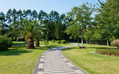 Designing a Walkway That Works With the Whole Fort Myers Property